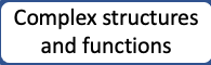 Complex structures and functions lesson
