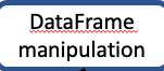 DataFrame manipulation lesson