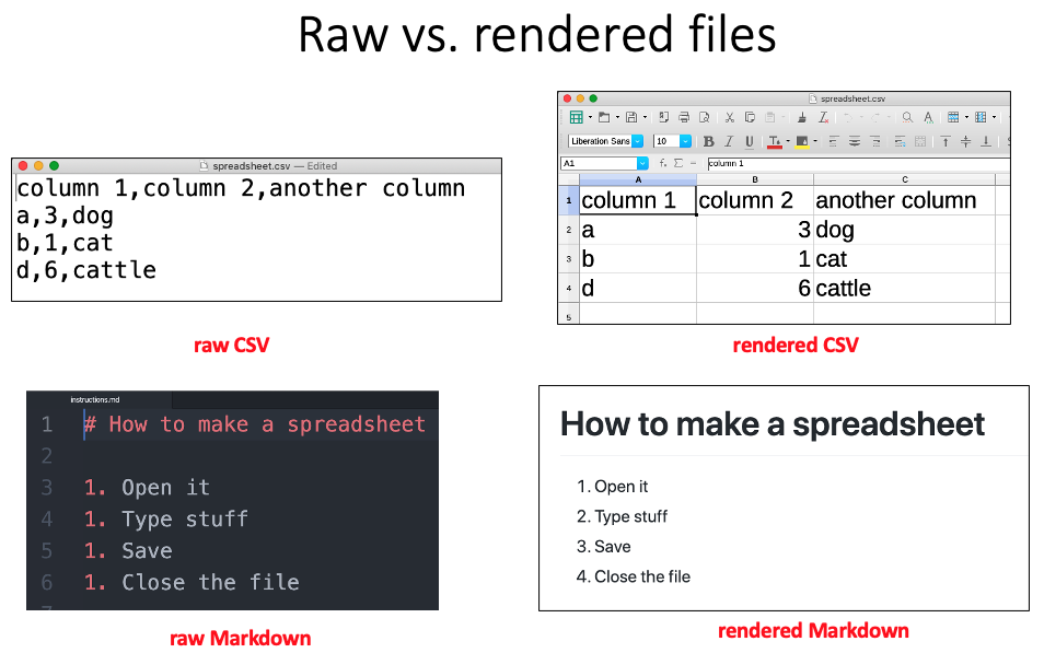 raw vs. rendered views of files